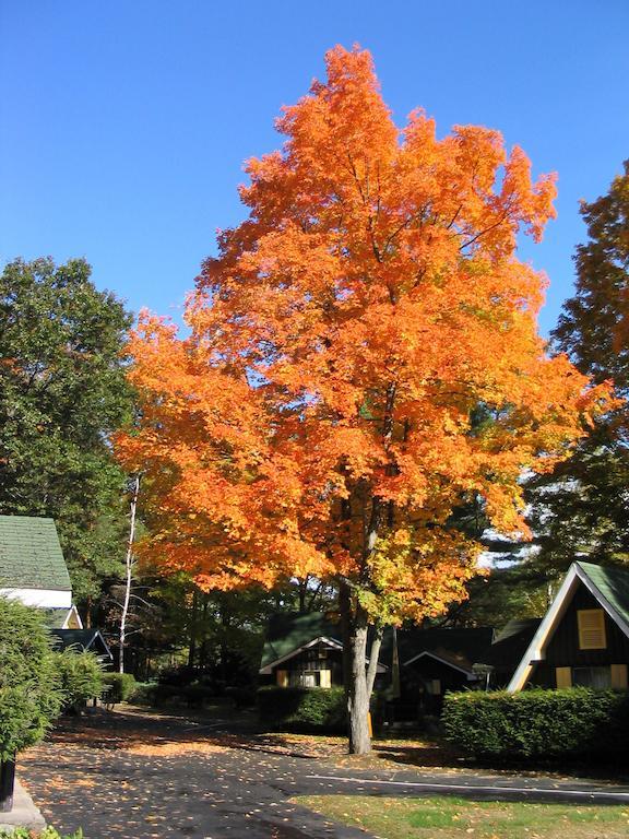 Amber Lantern Motel Lake George Room photo